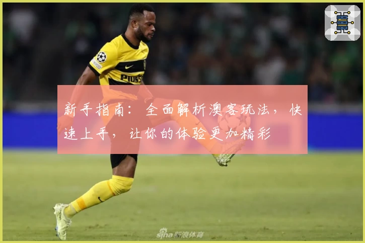 新手指南：全面解析澳客玩法，快速上手，让你的体验更加精彩