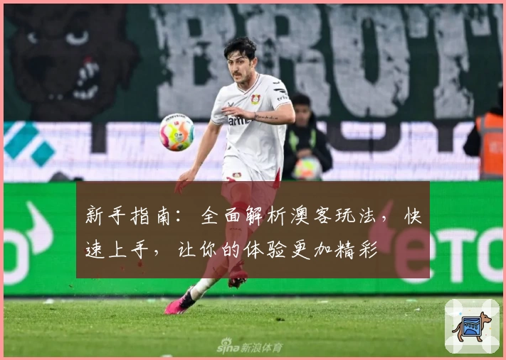 新手指南：全面解析澳客玩法，快速上手，让你的体验更加精彩